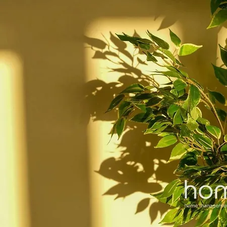 Breathtaking Luxury Homm In Glyfada